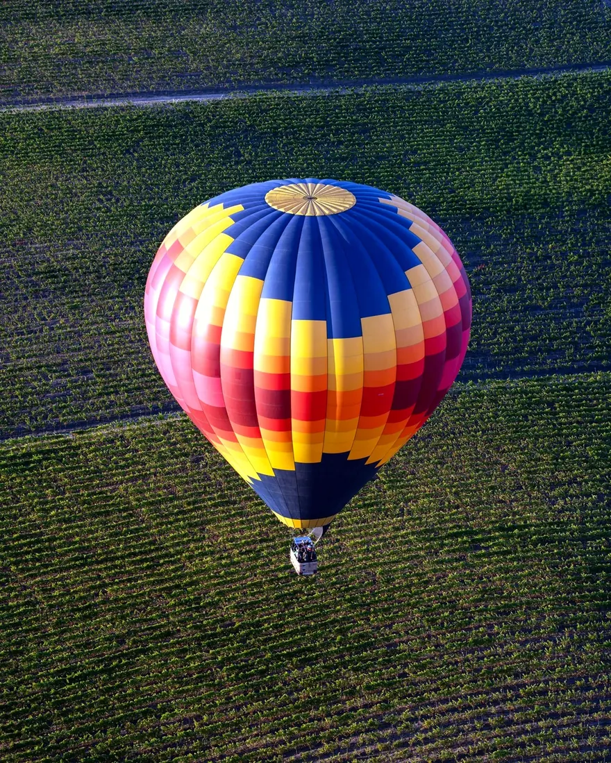 Looking down on a hot air balloon drifting over Carneros vineyards
