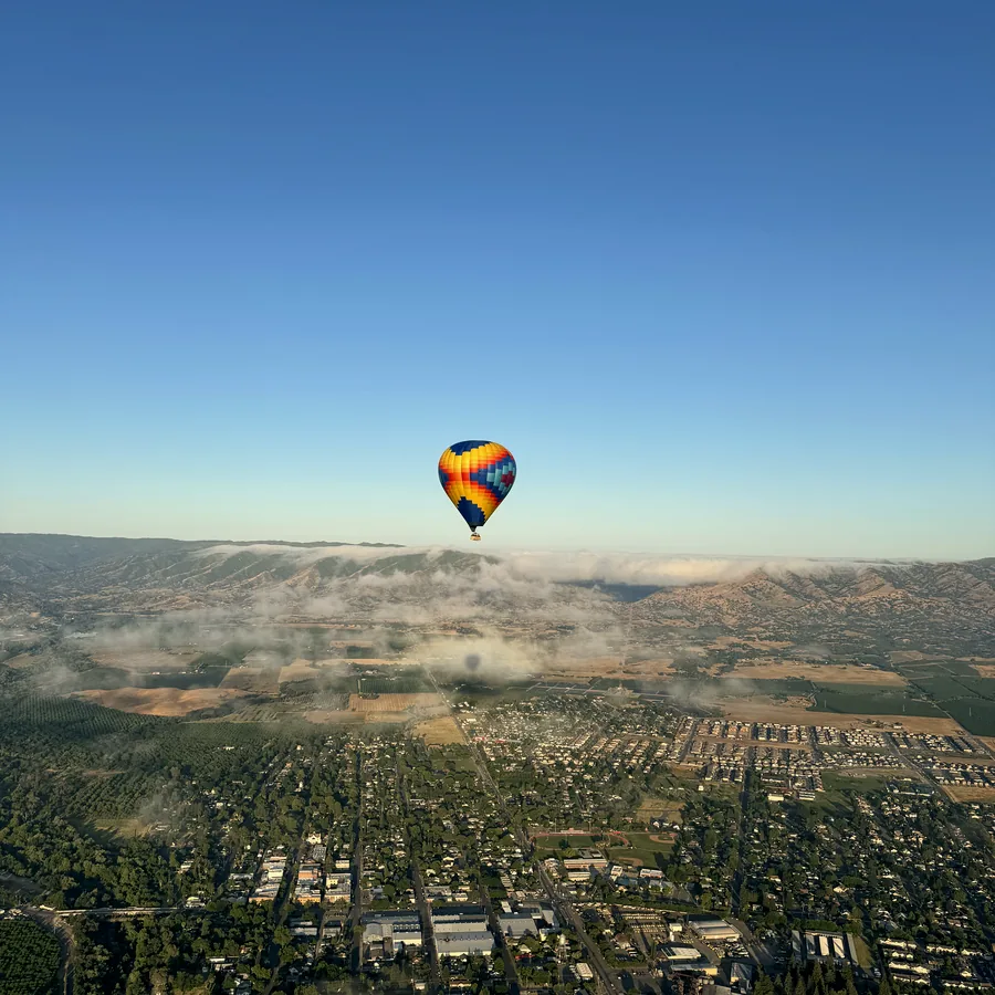 Balloon shadow crossing a blooming sunflower field, seen from the basket