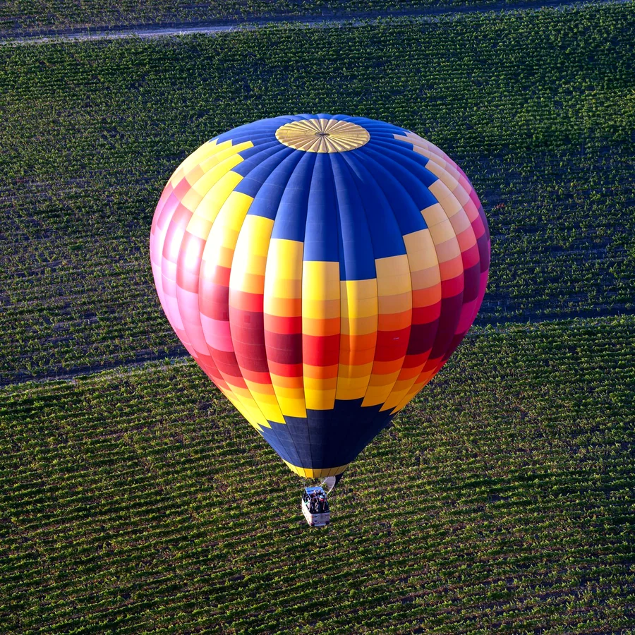 Balloon over green Carneros vineyards from above