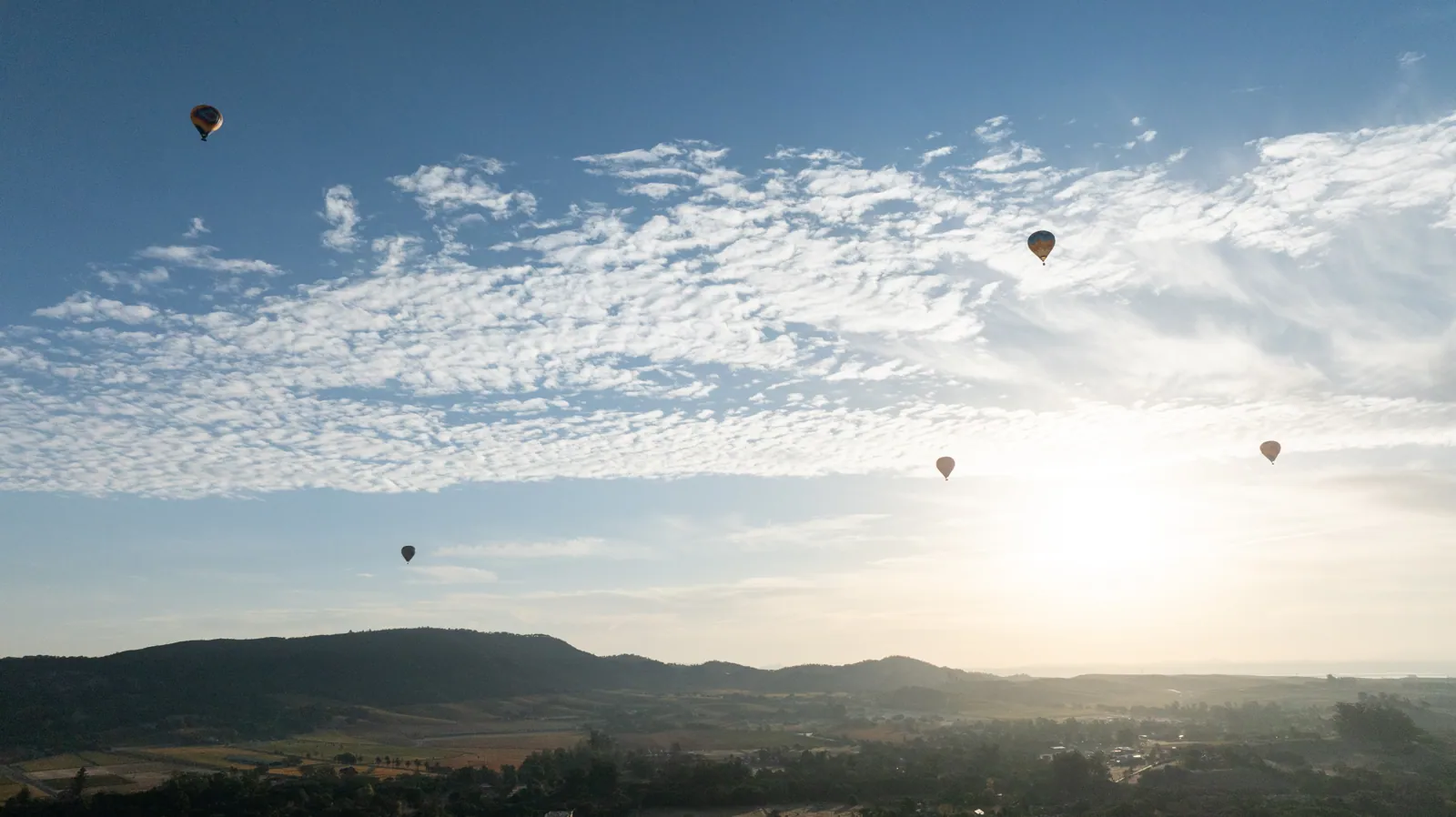 Which hot air balloon company in wine country is best for families with kids who meet the age and height rules?