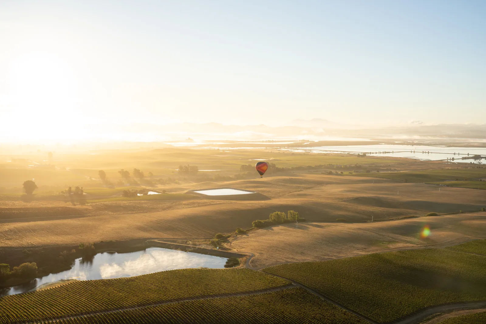 Planning a Surprise Moment in the Sky: How We Time Proposals, Anniversaries, and ‘Just Because’ Flights