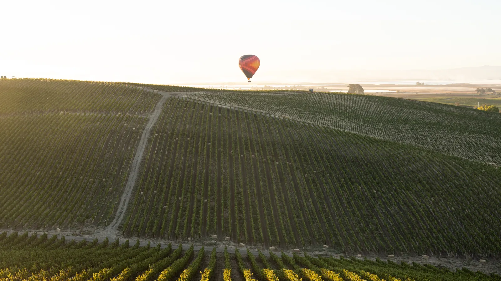 Sonoma Harvest Season 2026: The Earliest Start in 40 Years (and the Best Seat in the House)
