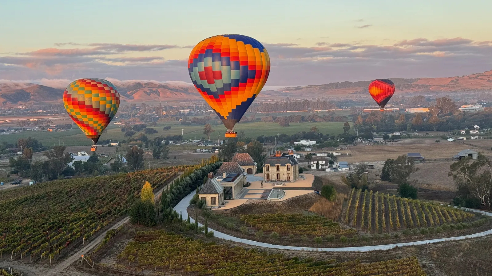 Sonoma in August 2026: The Month the Vineyards Turn Purple