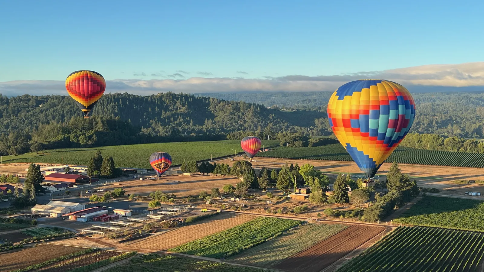 Can Hot Air Balloons Fly in Fog? A Sonoma Pilot’s Answer