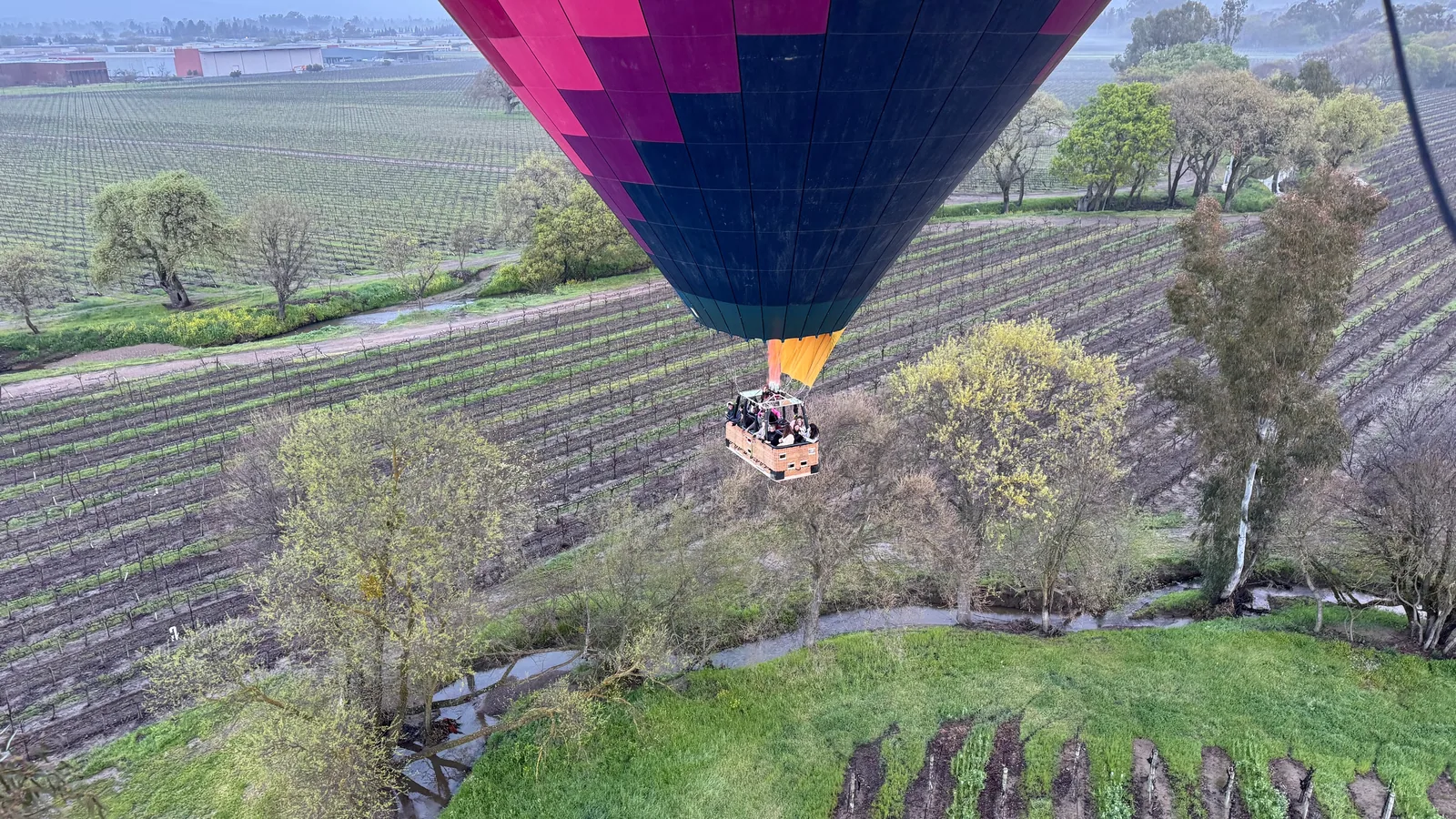 Sonoma in January: Green Hills, Clear Air, and a $265 Holiday Monday