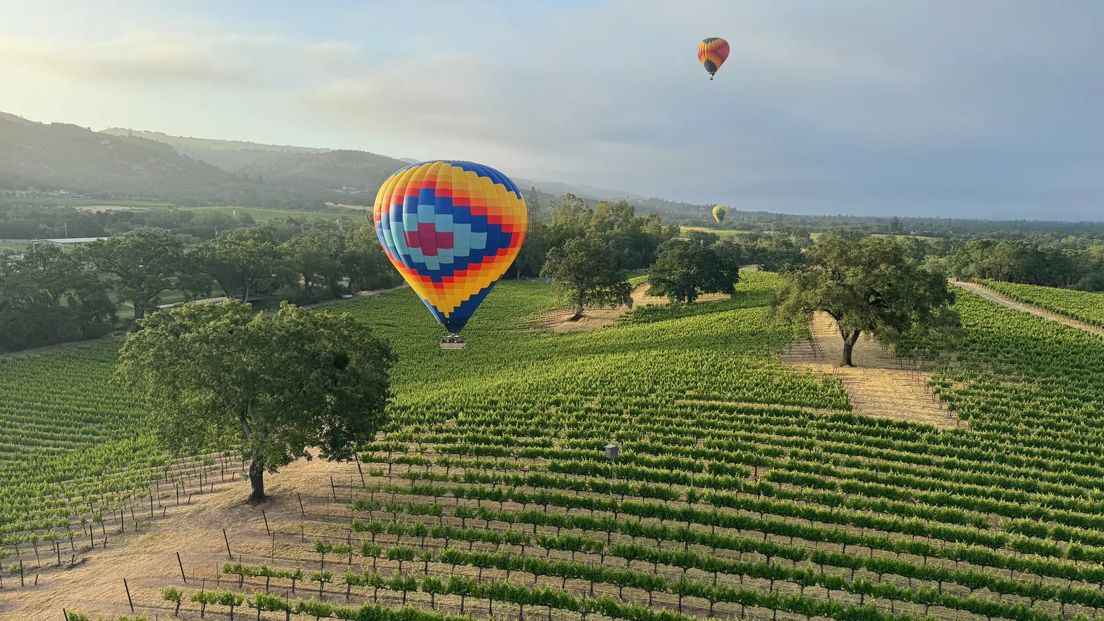 Hot Air Balloon Ride While Pregnant: What to Know Before You Book